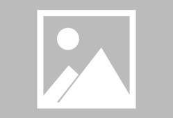 金年会体育-包含清晨本菲卡备战NBA总决赛；状态回暖细节曝光；媒体盛赞；数据趋势出现新变化的词条